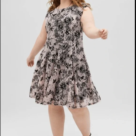 Danny & Nicole | Dresses | Danny And Nicole Sleeveless Lace Floral Fit And Flare Dress Sz 24w | Poshmark Danny & Nicole | Dresses | Danny And Nicole Sleeveless Lace Floral Fit And Flare Dress Sz 24w | Poshmark